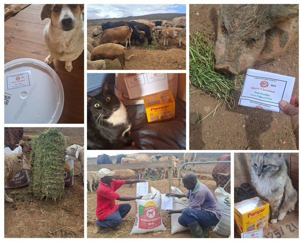 Greyton Farm Animals